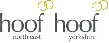 EXCEPTIONAL OPPORTUNITY TO IMPROVE YOUR BUSINESS WITH HELP FROM THE EXPERTS!